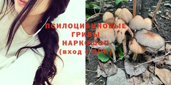 прущая мука Богородск