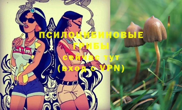 прущий лед Слюдянка
