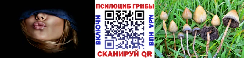 MEGA зеркало  Юхнов  Галлюциногенные грибы GOLDEN TEACHER 